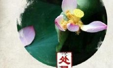 27种可用于处暑发布朋友圈的短语汇总