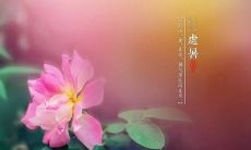 乾隆皇帝所作《弘历处暑古诗词》的意义和价值探析