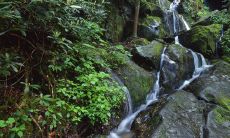 十二节气之一——处暑，有哪些合适用来发朋友圈表达心情的话语和句子呢？