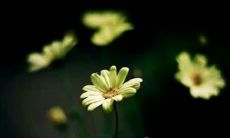 2022年最新版超级搞笑的朋友圈天气热的说说大合集,让你尽情发挥幽默风采!