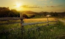 64句传颂甜蜜恋情的经典说说,你绝不想错过!这些朋友圈撒狗粮的爱情句子,让你感受到无尽甜蜜!