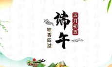 包含多种祝福语的端午节贺卡内容合集 - 端午节卡片祝福语大全