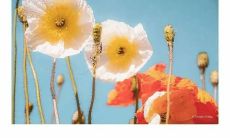 用简洁的话为你祝福，让你的起跑线上充满美的句子和美好的祝福