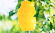 2021夏至文案:不可错过的超级温柔短句,点燃您的夏天!