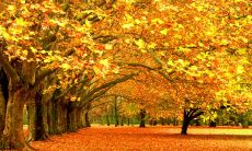 一些让人后悔的句子,特别是女生说出的言行的影响力