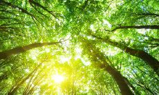 探究第五组创意口号，发掘独具匠心的创意概念，引领创新思维与变革力量的新时代！