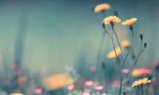 通过鼓励语句来激发一个人开心的积极心态，增强自信，陶冶情操