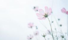 每一天都充满快乐，愿她笑容常在！