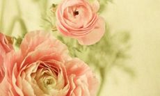 的确可以找到许多令人愉悦、令人感到快乐的简短句子：欢笑是最好的药物，微笑可以改变你的一天，玩乐是生活的调味剂等等