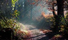 盘点翠绿如玉、晶莹剔透、闪耀迷人的翡翠,令人陶醉的华丽唯美句子!