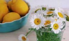 孩子在海滨尽情嬉戏，喜悦洋溢，欢声笑语不断的描述