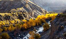 秋冬季节的营销策略：用短信问候语来感谢并照顾您的客户！