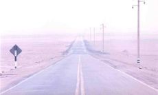 伟大的爱:感人至深的抒情句子大全,致敬亲情之美