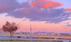 让人平静而愉悦，恢复内心平衡的温柔简短语句