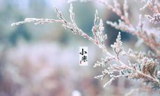 为了纪念小寒节气，发表的一系列有关天气、饮食、习俗以及对于冬季生活的点滴体验的长篇说说