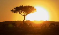 在寒冬季节中用暖心短句向朋友问候，传递温暖