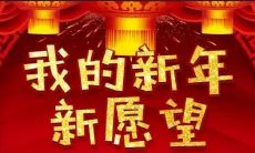 一份包罗万象的新年愿望清单，涵盖了心灵、身体、家庭、社交、工作、财务等方面的全面考虑