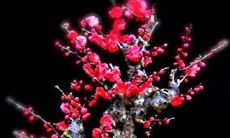 一些令人愉悦的、充满乐趣的句子，以表达深厚的友情关系