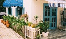 常常说的习惯性失恋的常见句子