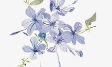 尝试修改后的标题:分享闺蜜友情的幽默句子、说说心情和短语,为你带来愉快的笑声和欢乐时光!