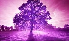 探讨失败友情的心灵句子:记录那种无助感,断掉友情的悲痛体验