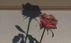 有可能并不是具有化解纷争作用的友情表达句子