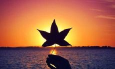 探讨闺蜜友情的感人句子,彰显真挚羁绊和无条件支持的美好信仰