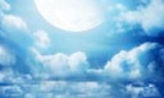 分享一些最感人的友情句子,让你感受真挚的情感力量