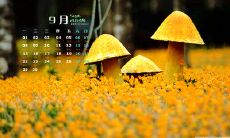 深厚校友情:探索母校与校友之间的紧密关系