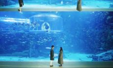 经历多年的友谊,值得铭记的情感句子