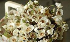 探究友情之深,勾勒出打动人心的友情之语