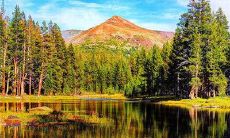 深情抒发友情,感人至深的友情主题议论句子集锦