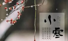 从立冬到大寒:探究中国二十四节气的文化价值——小寒的文案