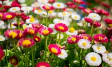 青年节下的精彩个性化语录汇总：玩转QQ说说！