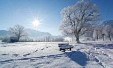 从文化角度探究小雪节气中流传的谚语和传统习俗