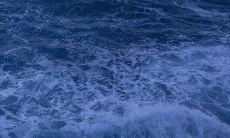 享受冬日的美妙——欢乐迎接飘洒雪花的时刻！