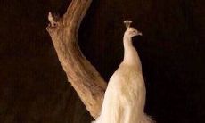 享受欢快快乐的一天——让我们的心情嗨皮起来！