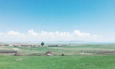 分享美好时刻：欣赏朋友的素质，快乐如同开心果的言语表扬！