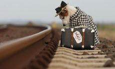 揭示真相的沉默：探究那些寂静的言语背后的故事