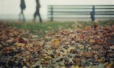 如何用温暖的话语来安慰烦恼不已的女性内心？