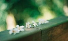 探寻兄妹之间温暖而唯美的亲情,带给你最动人心弦的句子