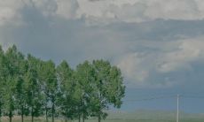 抖音经典语句,让你疯狂点赞转发,助力火爆个人账号的秘诀