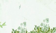 精选自各类文艺作品和文学经典,描写亲情的最低声细语,搭配以真挚感动的语言情感,编成精美选集,为您点燃亲情回忆的火花——写亲情的选自名篇句子