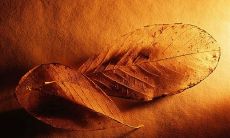 如何处理别人惹你的事情，而无需采取报复行为