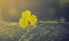 回忆往事，浸淫其中的美丽句子