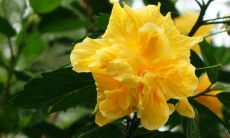 从种子到茁壮成长的过程,人类的成长同样需要时间、耕耘和环境的滋养