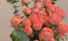 如何以暖心的话语来安慰经历分手的女生?