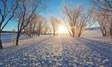 在寒冷冬日之晨，为您带来的令人感动的心灵鸡汤——温暖人心的冬季早安问候！