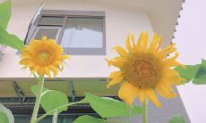 揭秘闺蜜姐妹友谊的珍藏秘密：探索忠诚、信任与支持的珍贵文化宝藏