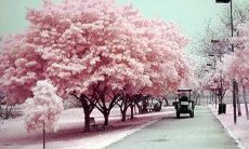 获得内在平静，实现自我掌控——心态平衡的要素